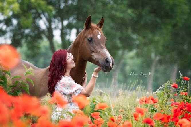Kay-pony-paard-klaprozen-zomer